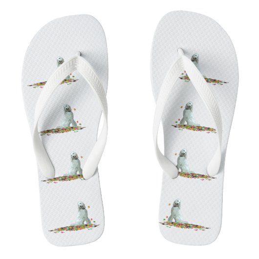 Chien De Labradoodle En Tongs Feuille (Semelle)