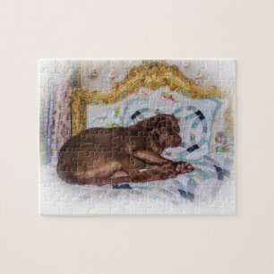 Chien de labrador retriever, dormant, puzzle