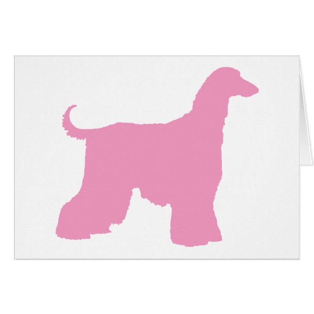 Chien de lévrier afghan rose (Devant horizontal)