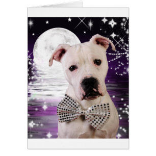 Chien de lune