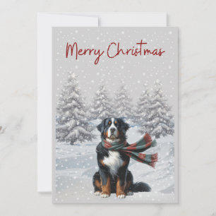 Chien de Montagne bernois dans la carte Noël de ne