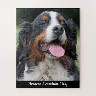 Chien de montagne bernois puzzle