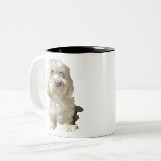 Chien de Mug Havanais (Devant gauche)