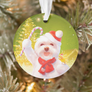 Chien de Noël avec Sucre de canne
