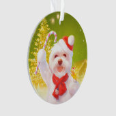 Chien de Noël avec Sucre de canne (devant)