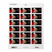 Chien de Noël chihuahua étiquettes de adresse (Feuille entière)