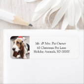 Chien de Noël Faire Étiquette de adresse Carte de  (En situation)