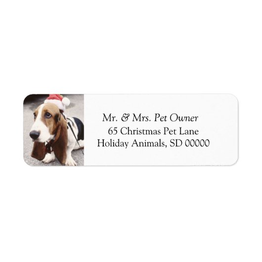 Chien de Noël Faire Étiquette de adresse Carte de  (Devant)