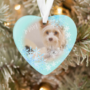 Chien de Noël Ornement bleu