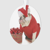 Chien de Père Noël - bouledogue anglais habillé (devant)