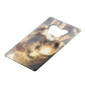 Chien de plage thaïlandais (Devant Angle)