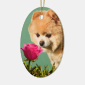 Chien de Pomeranian et ornement rose (Gauche)