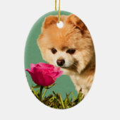 Chien de Pomeranian et ornement rose (Dos)