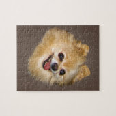 Chien de Pomeranian sur le puzzle Brown (Horizontal)