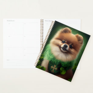 Chien de Poméranie en tenue de jour St. Patrick