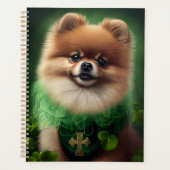 Chien de Poméranie en tenue de jour St. Patrick (Devant)