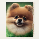 Chien de Poméranie en tenue de jour St. Patrick (Dos)