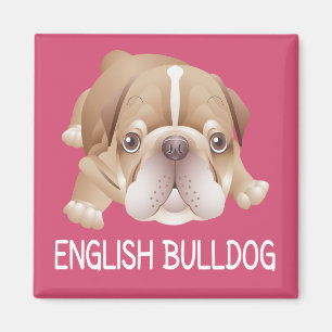 Chien de race Bouledogue Anglais Rose Magnet