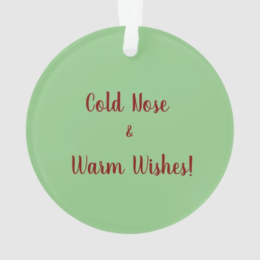 Chien de Santa Chapa gris Paint (dos)