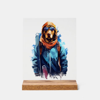 Chien de Ski dans des Lunettes de Ski 5