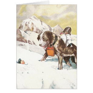 Chien de St Bernard à la délivrance