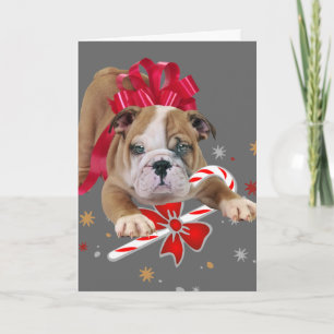 Chien de taureau avec carte de Noël à arc rouge