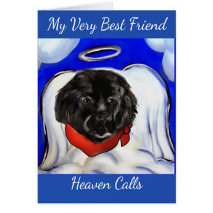 Chien de Terre-Neuve