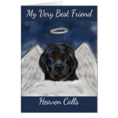 Chien de Terre-Neuve (Devant)