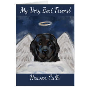 Chien de Terre-Neuve