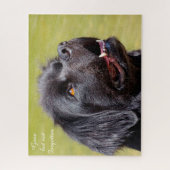 Chien de Terre-Neuve. Puzzle (Vertical)