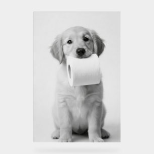 Chien de toilette mignon retriever doré minimalist