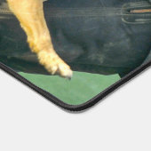 CHIEN DE TRAVAIL MILITAIRE AMÉRICAIN (Coin)