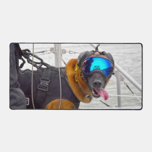 CHIEN DE TRAVAIL MILITAIRE AMÉRICAIN (Recto)