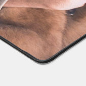 CHIEN DE TRAVAIL MILITAIRE AMÉRICAIN (Coin)