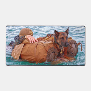 CHIEN DE TRAVAIL MILITAIRE AMÉRICAIN