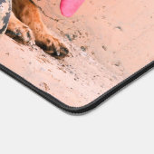 CHIEN DE TRAVAIL MILITAIRE AMÉRICAIN (Coin)