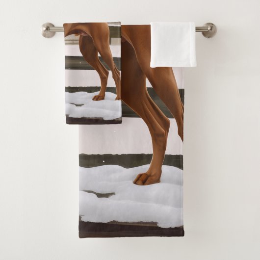 Chien de Vizsla à Noël de neige (En situation)