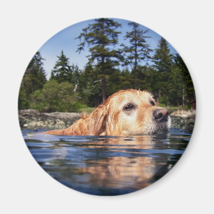 Chien d'eau - aimant