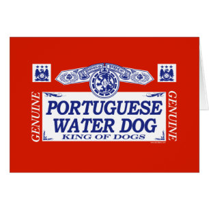Chien d'eau portugais