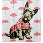 chien des montagnes occidental de westie + rideau (Devant)