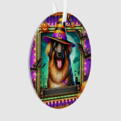 Chien d'Halloween avec chapeau de sorcière (devant)