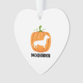 Chien d'Halloween Dachshund (devant)