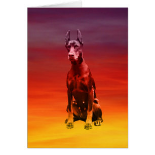 Chien Doberman Assis Sur La Plage