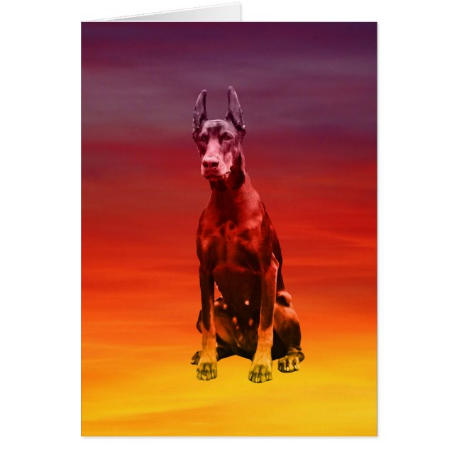 Chien Doberman Assis Sur La Plage (Devant)