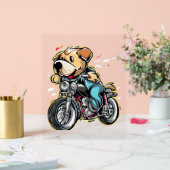 chien drôle (Mariage)
