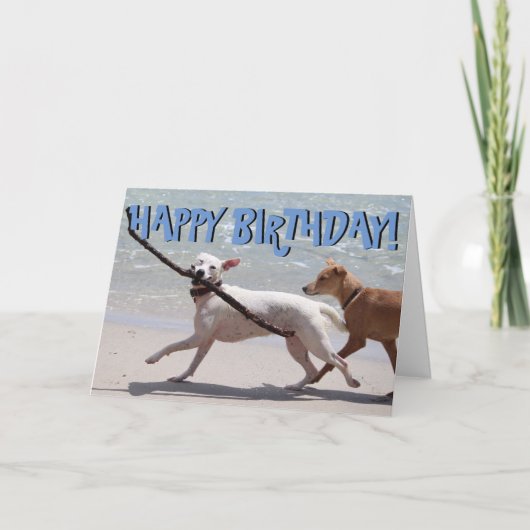 Chien drôle avec la carte d'anniversaire de bâton (Devant)