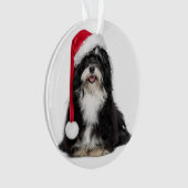 Chien drôle de Havanese de Noël avec le casquette (devant)