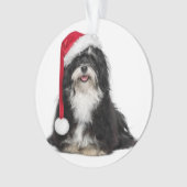 Chien drôle de Havanese de Noël avec le casquette (devant)