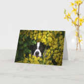 Chien drôle et mignon dans les fleurs Carte d'anni (Fleur jaune)