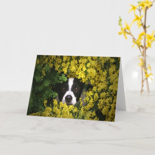 Chien drôle et mignon dans les fleurs Carte d'anni (Fleur jaune)
